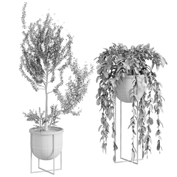 Indoor Plant 002