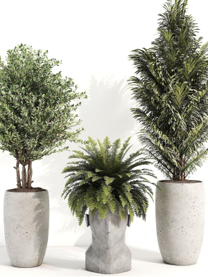 indoor-plant-012-3d-model-67471daa0f
