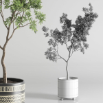 Indoor plant 56 vase handmade-pottery plant tree pot