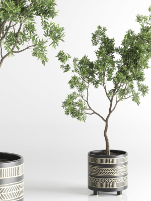 Indoor plant 56 vase handmade-pottery plant tree pot