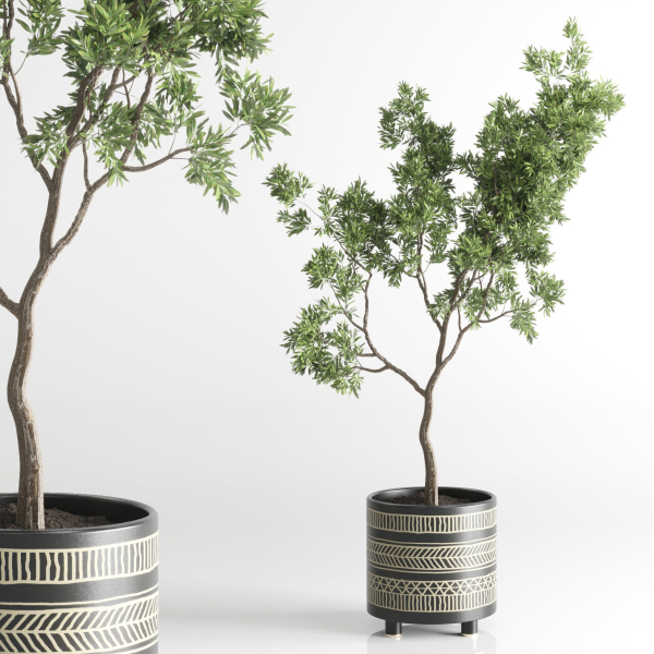 Indoor plant 56 vase handmade-pottery plant tree pot