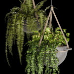 Indoor plant collection 02