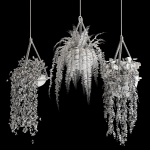 Indoor plant collection 02