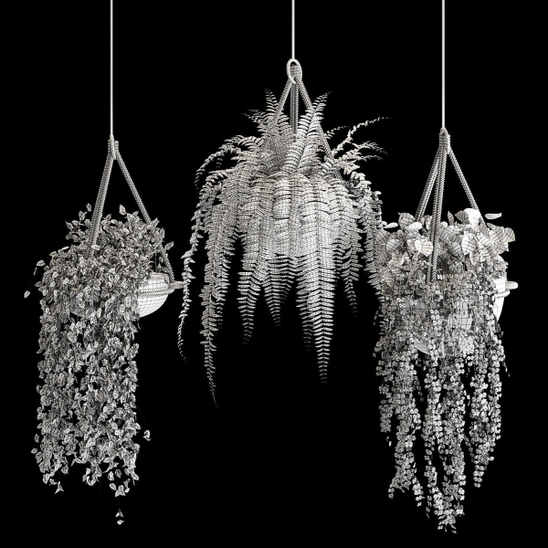 Indoor plant collection 02