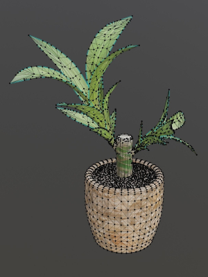 indoor-plant-low-poly-3d-model-3d-model-low-poly-obj-fbx-blend