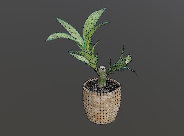 Indoor Plant Low-poly 3D model