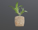 Indoor Plant Low-poly 3D model
