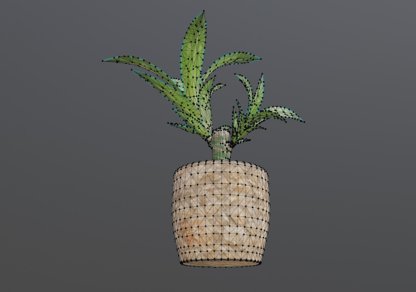 Indoor Plant Low-poly 3D model