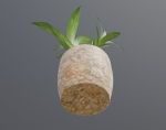 Indoor Plant Low-poly 3D model