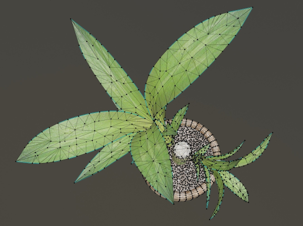 Indoor Plant Low-poly 3D model
