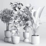 indoor plant pot plant ficus rubbery tree concrete dirt vase
