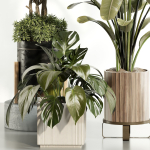 indoor plant Set 015