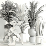 indoor plant Set 015