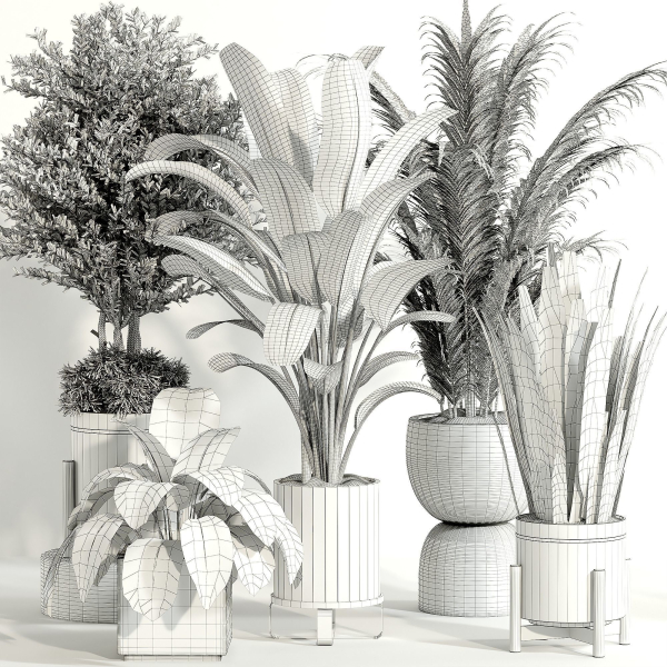 indoor plant Set 015