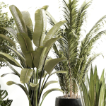 indoor plant Set 015