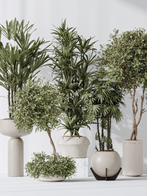 Indoor plant set 02