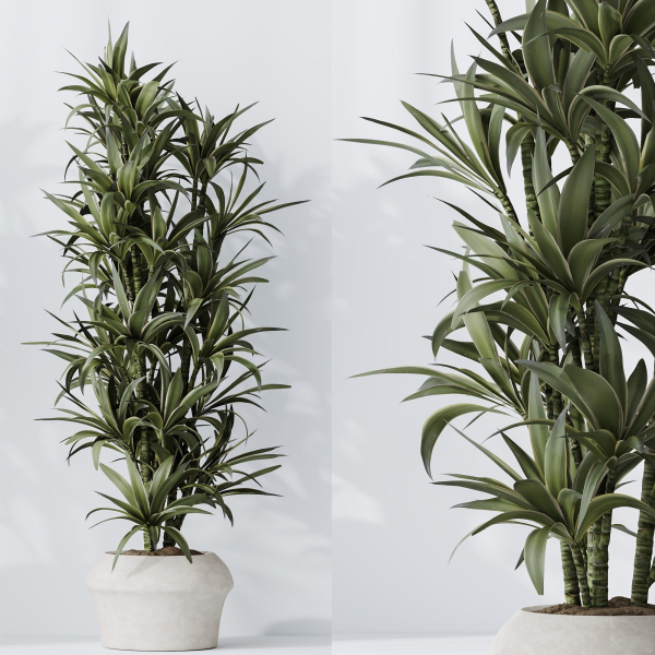 Indoor plant set 02