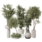 Indoor plant set 02