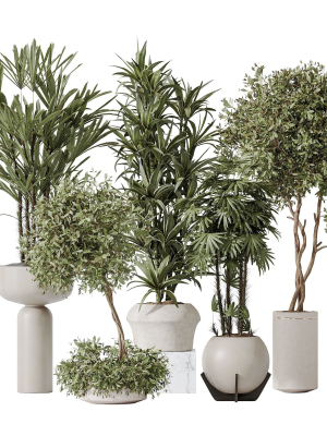 indoor-plant-set-02-3d-model-2f850ad566