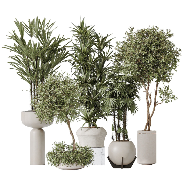 Indoor plant set 02