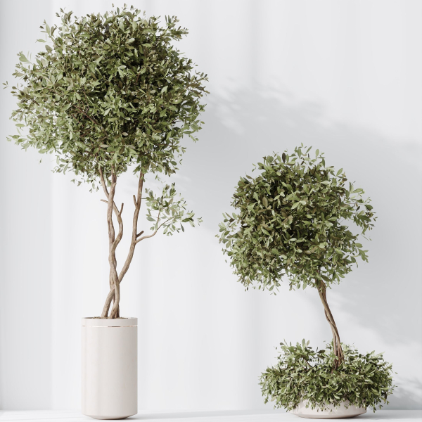 Indoor plant set 02