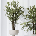 Indoor plant set 02