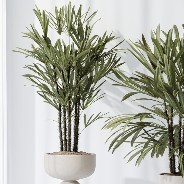 Indoor plant set 02