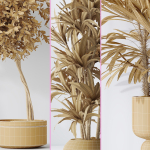 Indoor plant set 02