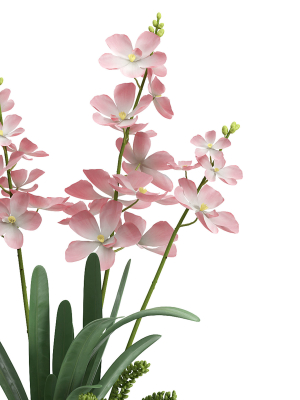 indoor-plant-set-06-vanda-orchid-3d-model-max-obj-fbx