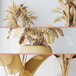 Indoor plant set 08