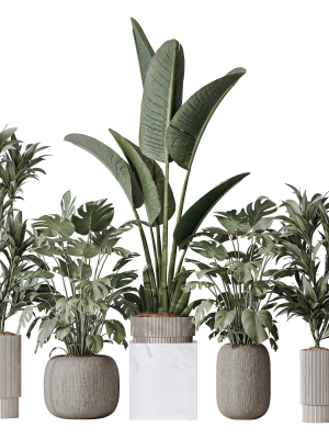 indoor-plant-set-08-3d-model-e6cc0fd122