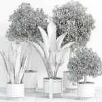 indoor plant Set 095