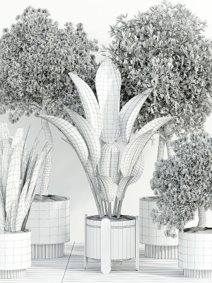 indoor-plant-set-095-3d-model-253c445a51