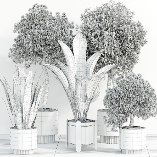 indoor plant Set 095