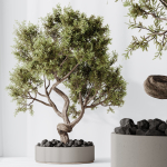 Indoor plant set 16