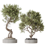 Indoor plant set 16