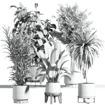 indoor plant - set 21