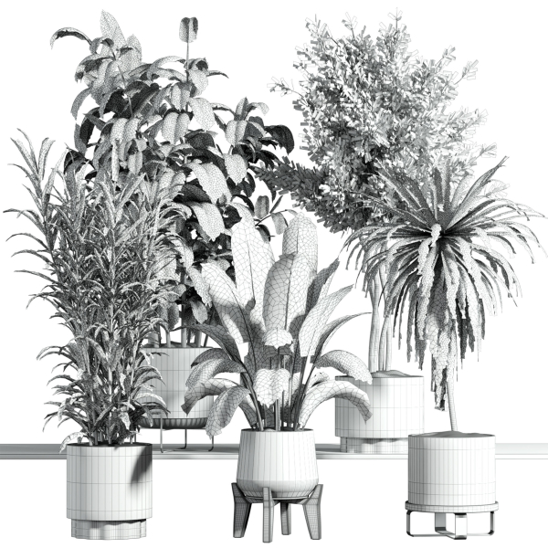 indoor plant - set 21