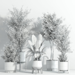 indoor plant - set 23