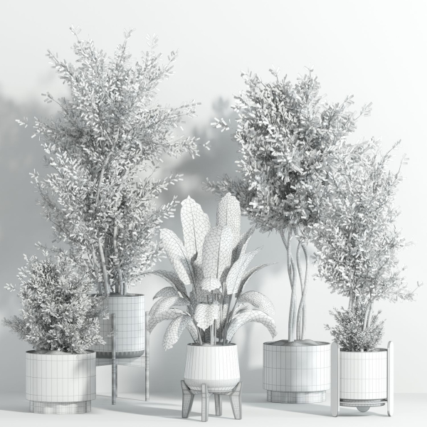 indoor plant - set 23