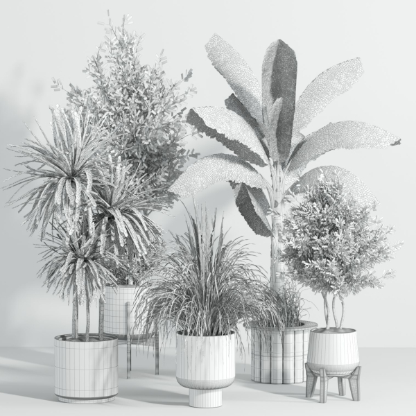 Indoor plant - set 25