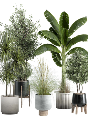 indoor-plant-set-25-3d-model-699d212e8b