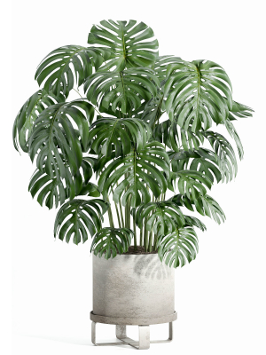 indoor-plant-set-27-3d-model-201cb153d9