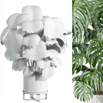 Indoor plant - set 27