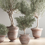 indoor plant set 28