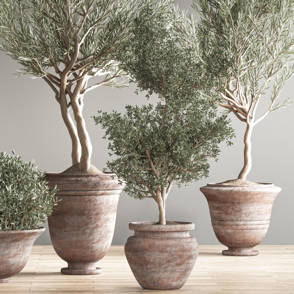 indoor plant set 28