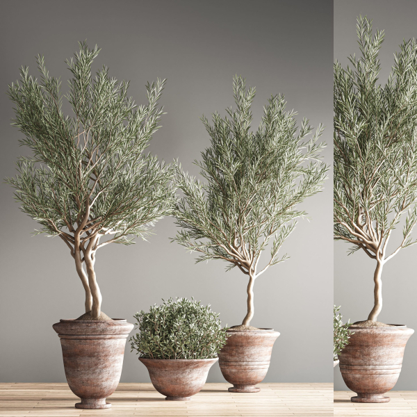 indoor plant set 28