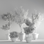 indoor plant set 28
