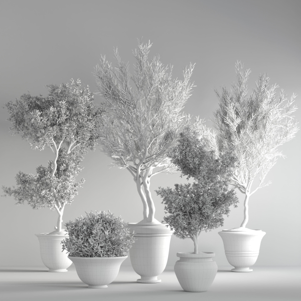indoor plant set 28