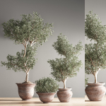 indoor plant set 28